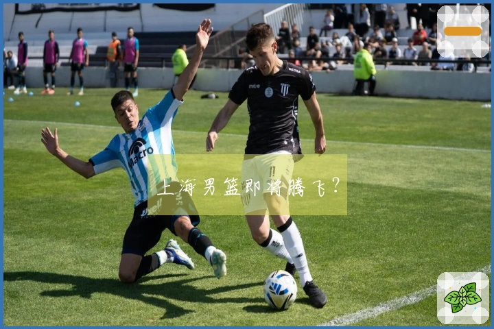 上海男篮即将腾飞？