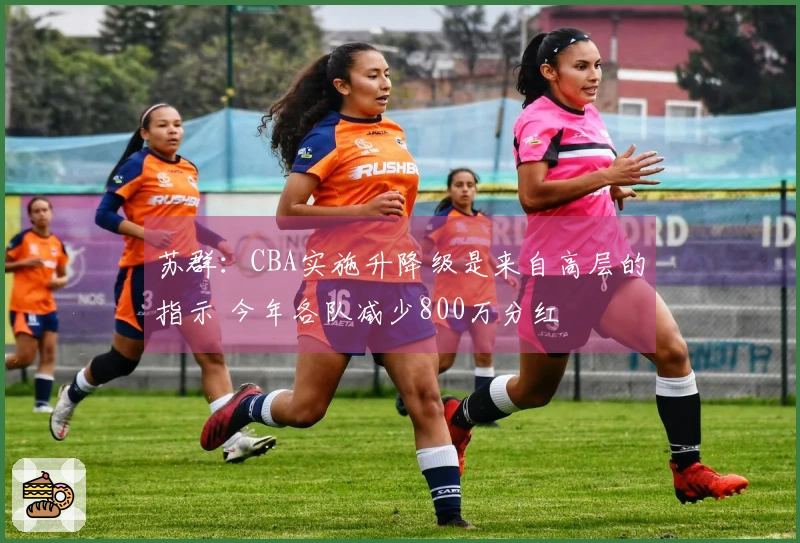 苏群：CBA实施升降级是来自高层的指示 今年各队减少800万分红