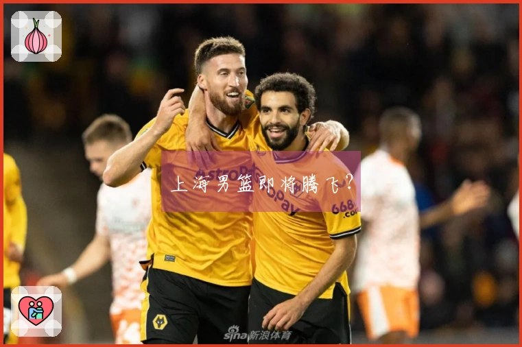 上海男篮即将腾飞？