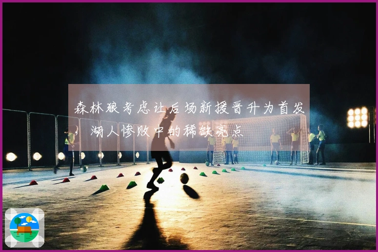 森林狼考虑让后场新援晋升为首发，湖人惨败中的稀缺亮点