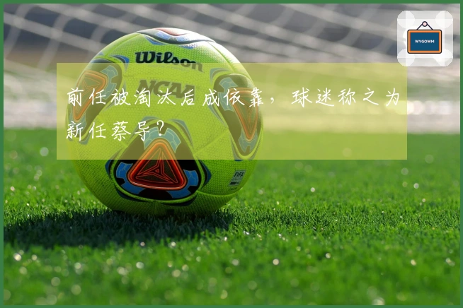 前任被淘汰后成依靠，球迷称之为新任蔡导？